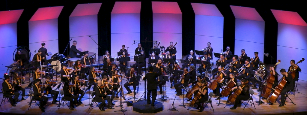L’Orchestre Tutta Musica s’apprête à briller au Riverview Arts Centre